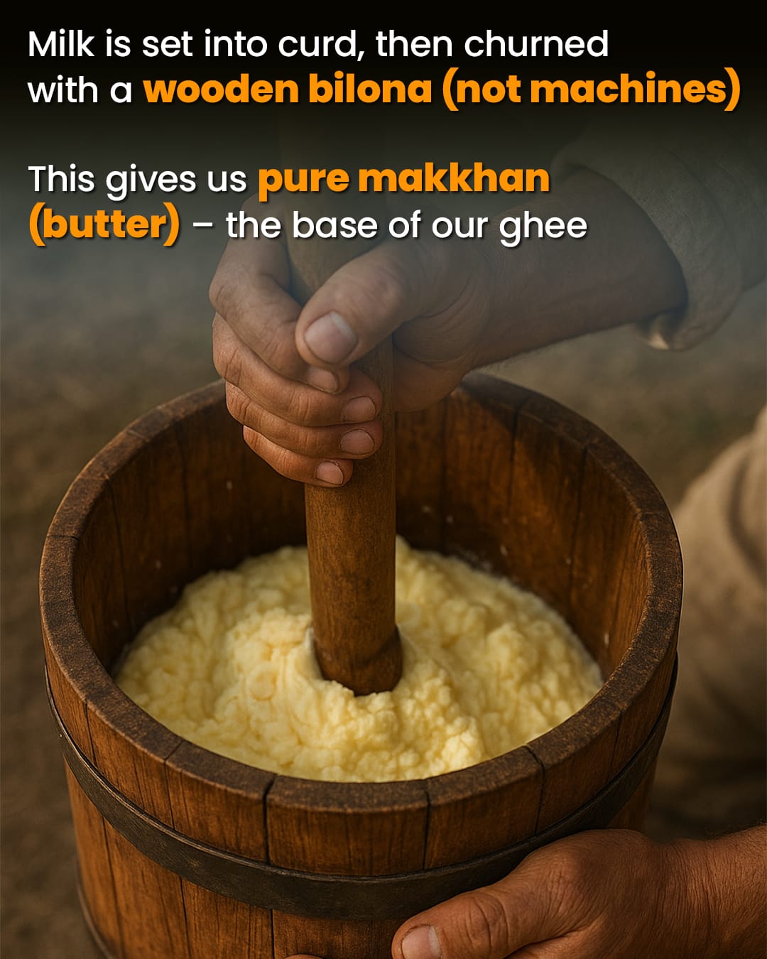 Milk is set into curd